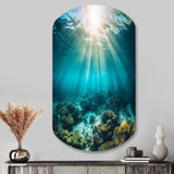 Underwater Coral IV - Asymmetric Metal Wall Art