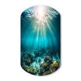 Underwater Coral IV - Asymmetric Metal Wall Art