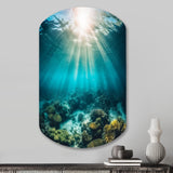 Underwater Coral IV - Asymmetric Metal Wall Art