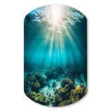 Underwater Coral IV - Asymmetric Metal Wall Art