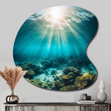 Underwater Coral IV - Asymmetric Metal Wall Art