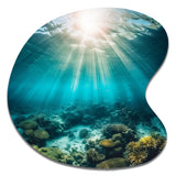 Underwater Coral IV - Asymmetric Metal Wall Art