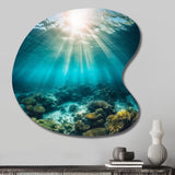 Underwater Coral IV - Asymmetric Metal Wall Art