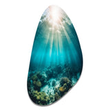 Underwater Coral IV - Asymmetric Metal Wall Art