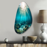 Underwater Coral IV - Asymmetric Metal Wall Art