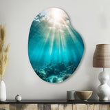 Underwater Coral IV - Asymmetric Metal Wall Art