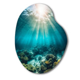 Underwater Coral IV - Asymmetric Metal Wall Art