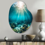 Underwater Coral IV - Asymmetric Metal Wall Art