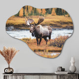 Moose In Alaska Scenery I - Asymmetric Metal Wall Art