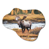 Moose In Alaska Scenery I - Asymmetric Metal Wall Art