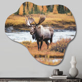 Moose In Alaska Scenery I - Asymmetric Metal Wall Art