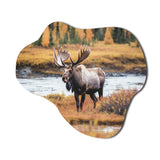 Moose In Alaska Scenery I - Asymmetric Metal Wall Art