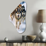 Alaska Dog Sledding III - Asymmetric Metal Wall Art