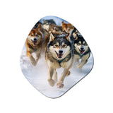 Alaska Dog Sledding III - Asymmetric Metal Wall Art