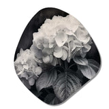 Grey White Hydrangea Bloom II - Asymmetric Metal Wall Art