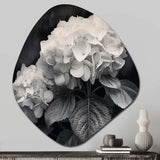 Grey White Hydrangea Bloom II - Asymmetric Metal Wall Art