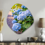 Blue Blooms Of Hydrangea - Asymmetric Metal Wall Art