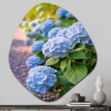 Blue Blooms Of Hydrangea - Asymmetric Metal Wall Art