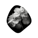 Black White Hydrangea Blooming I - Asymmetric Metal Wall Art