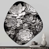 Grey Black Succulent Resilience - Asymmetric Metal Wall Art