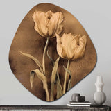 Vintage Tulip II - Asymmetric Metal Wall Art