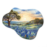 Blue Bonnets Sunset - Asymmetric Metal Wall Art