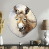 Sophisticated Donkey Portrait II - Asymmetric Metal Wall Art