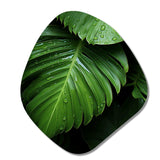 Palm Leaves Serenity - Asymmetric Metal Wall Art