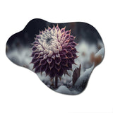 A Blooming Purple Dahlia Flower In Winter III - Asymmetric Metal Wall Art