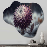 A Blooming Purple Dahlia Flower In Winter III - Asymmetric Metal Wall Art