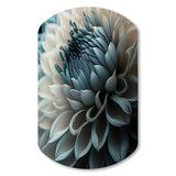 Blue And White Dahlia Flowers II - Asymmetric Metal Wall Art