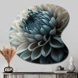 Blue And White Dahlia Flowers II - Asymmetric Metal Wall Art