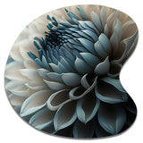 Blue And White Dahlia Flowers II - Asymmetric Metal Wall Art