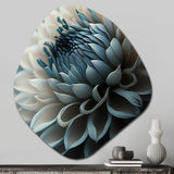 Blue And White Dahlia Flowers II - Asymmetric Metal Wall Art