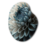 Blue And White Dahlia Flowers II - Asymmetric Metal Wall Art