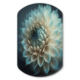 Blue And White Dahlia Flowers V - Asymmetric Metal Wall Art