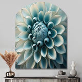 Blue,White Dahlia Flowers I - Asymmetric Metal Wall Art