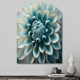 Blue,White Dahlia Flowers I - Asymmetric Metal Wall Art