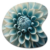 Blue,White Dahlia Flowers I - Asymmetric Metal Wall Art