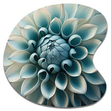 Blue,White Dahlia Flowers I - Asymmetric Metal Wall Art