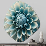 Blue,White Dahlia Flowers I - Asymmetric Metal Wall Art