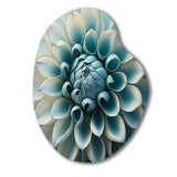 Blue,White Dahlia Flowers I - Asymmetric Metal Wall Art