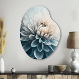 Dahlia Flowers Blue And White I - Asymmetric Metal Wall Art