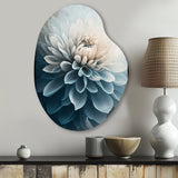 Dahlia Flowers Blue And White I - Asymmetric Metal Wall Art