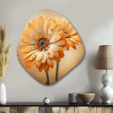 Orange And White Daisy'S I - Asymmetric Metal Wall Art