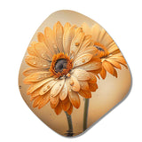 Orange And White Daisy'S I - Asymmetric Metal Wall Art