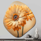 Orange And White Daisy'S I - Asymmetric Metal Wall Art