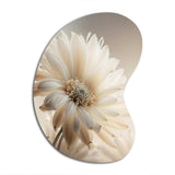 White Gerbera Flowers III - Asymmetric Metal Wall Art