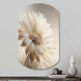 White Gerbera Flowers III - Asymmetric Metal Wall Art