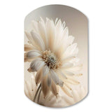 White Gerbera Flowers III - Asymmetric Metal Wall Art